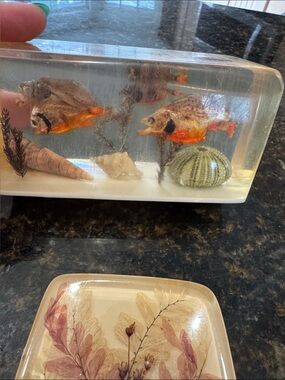 Resin / Lucite Aquarium Décor Block with real Piranha’s inside~ Fish Accent sea